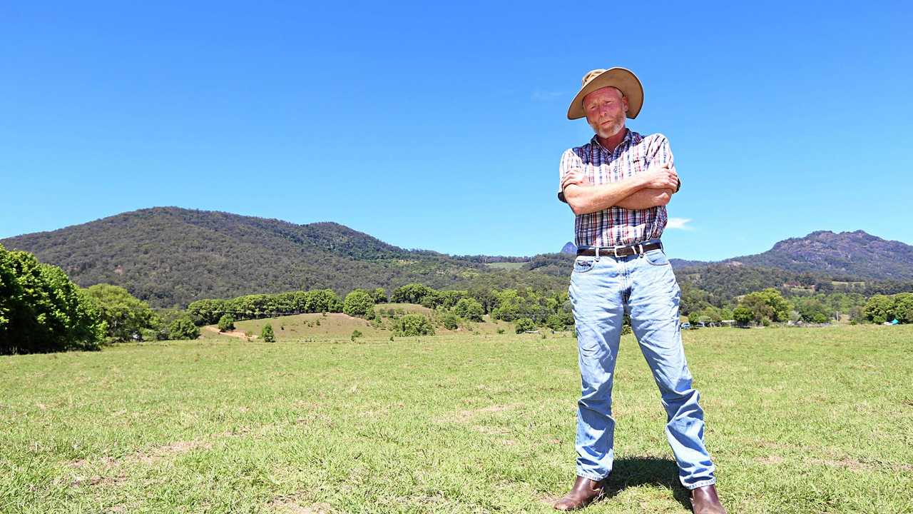 James McKenzie standing in a grassy paddock on his Eungella property, with the forested caldera ranges behind him